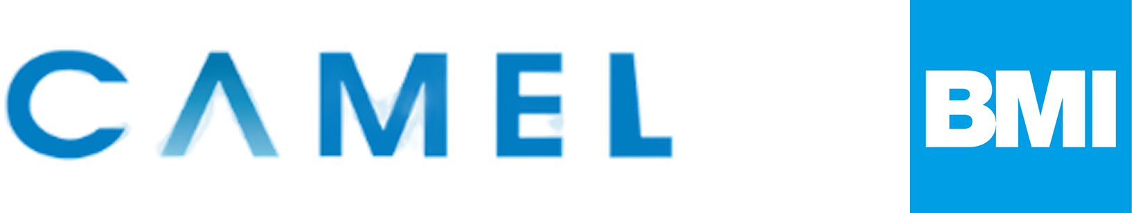 CAMEL — Part of BMI logo